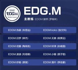 王者转会最新爆料消息,最新爆料揭秘转会大幕 第3张 王者转会最新爆料消息,最新爆料揭秘转会大幕 第3张